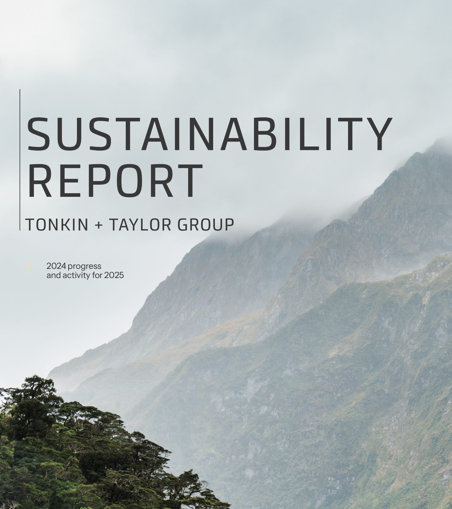 Sustainability Report Tonkin + Taylor 